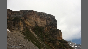 DSC_2114-e.jpg