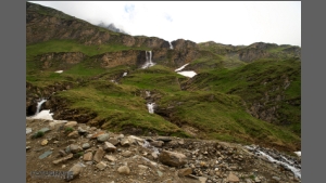 DSC_2931-e.jpg