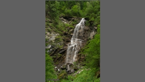 DSC_3736-e.jpg